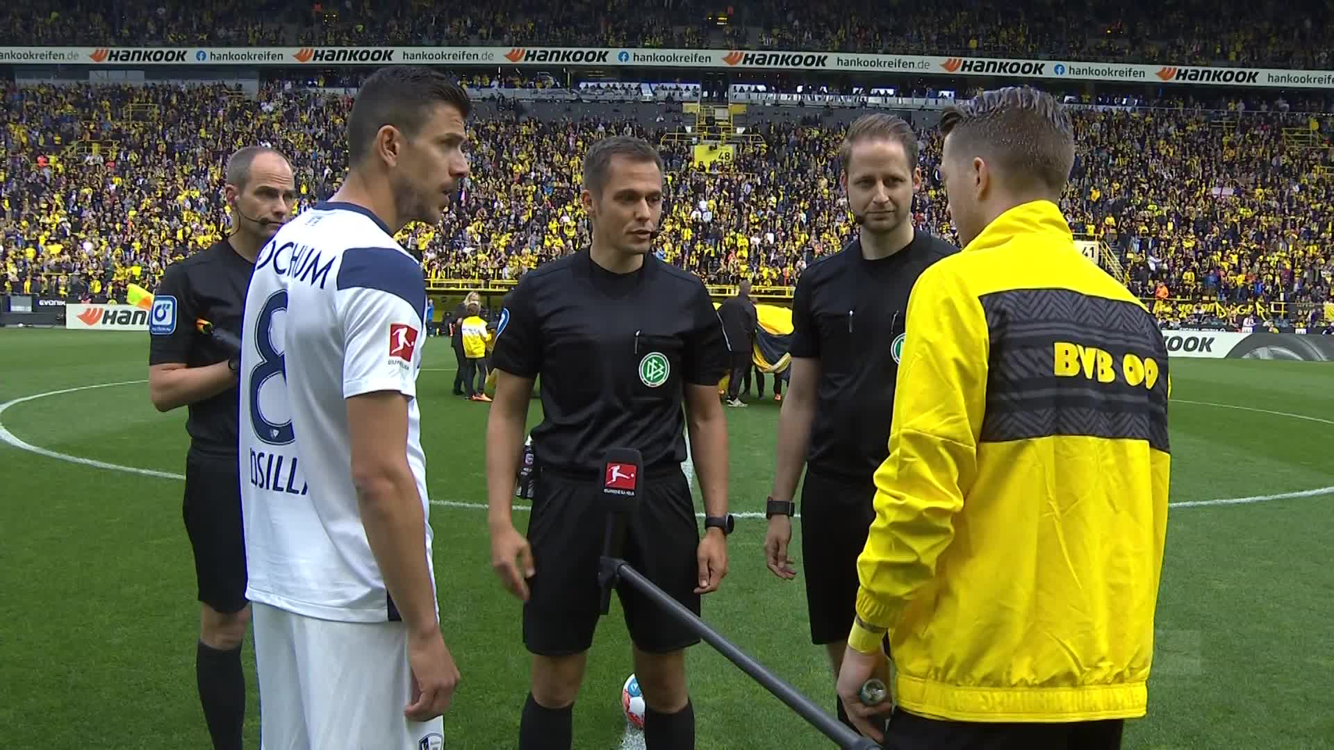 10吨植物油精炼设备