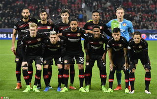 10吨植物油精炼设备