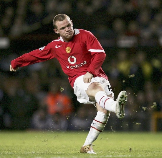 动物油精炼设备