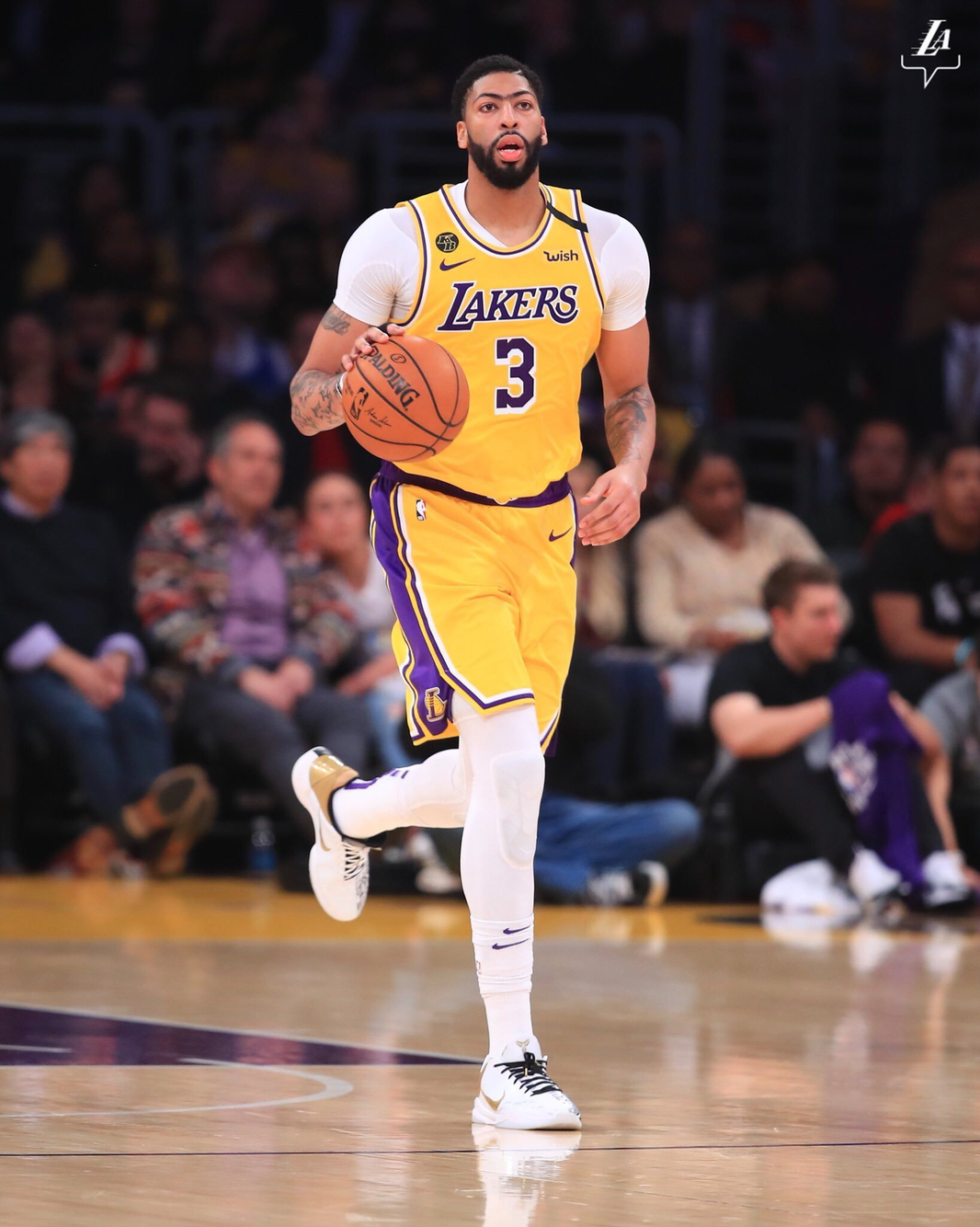 10吨植物油精炼设备