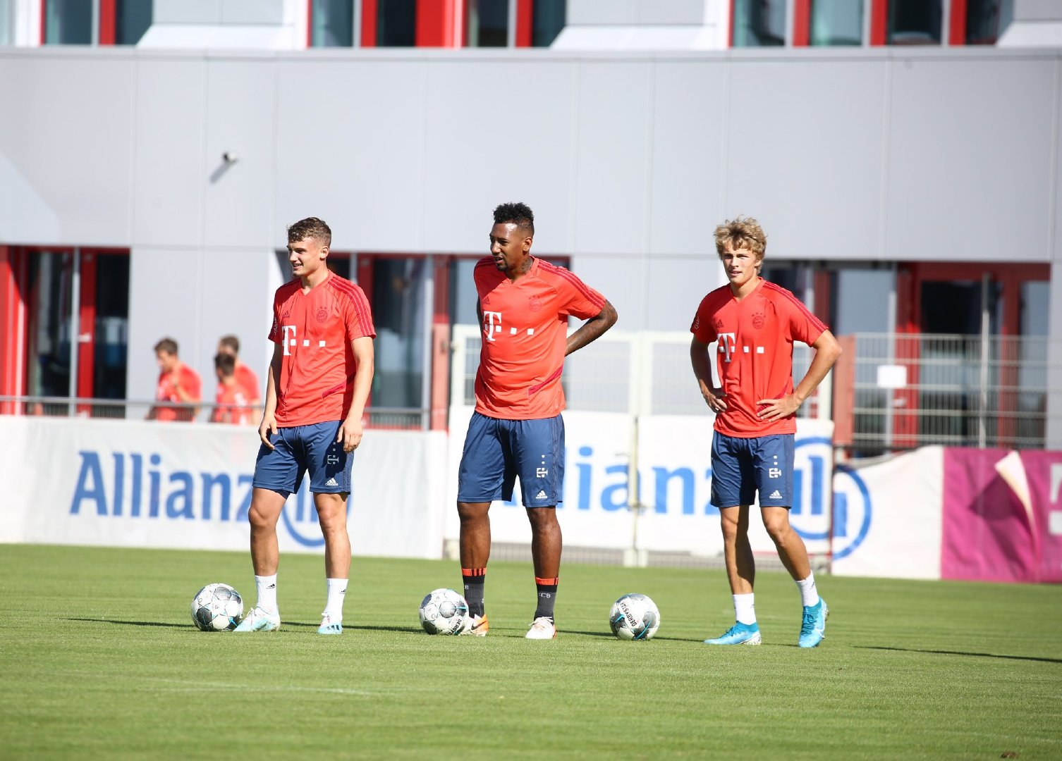 动物油精炼设备