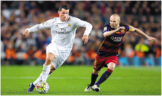 动物油精炼设备